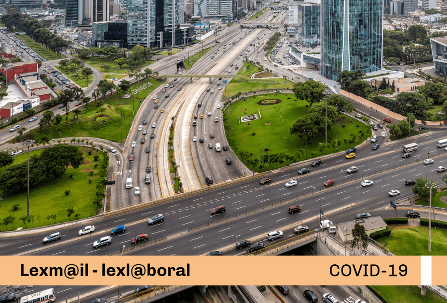 miniatura-covid19-web