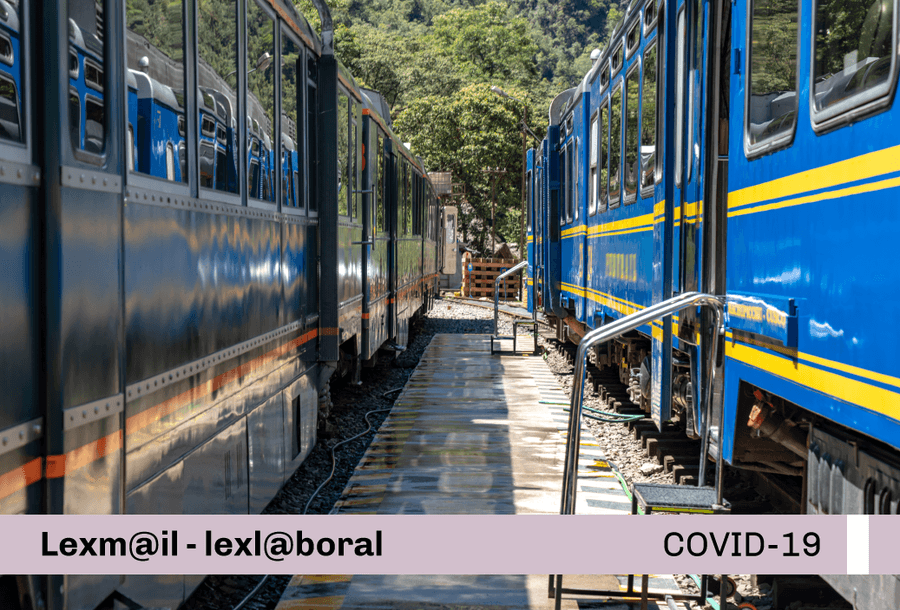 miniatura-covid19-web