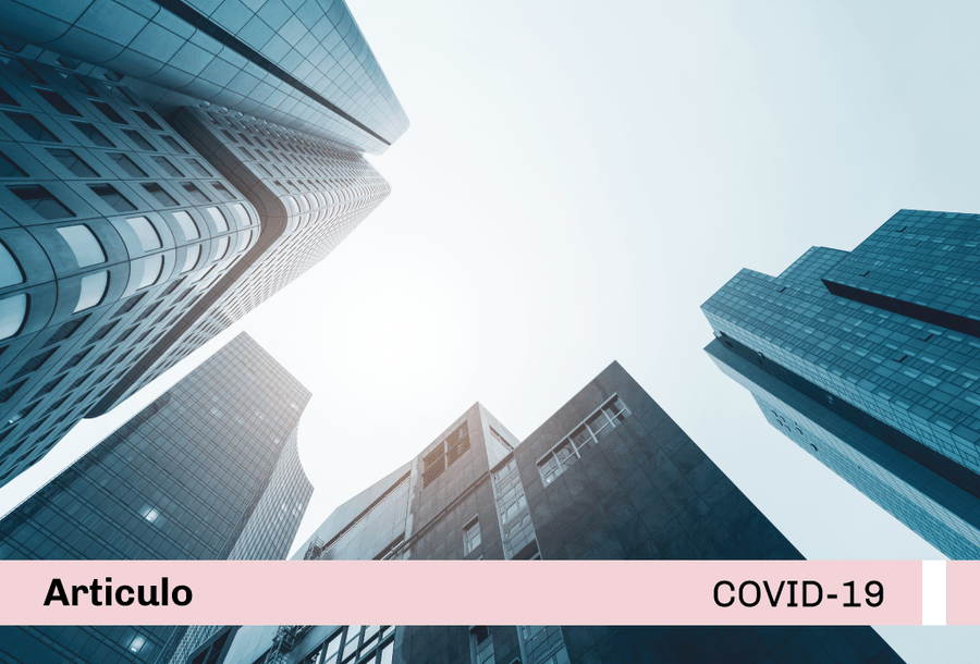 miniatura-covid19-web
