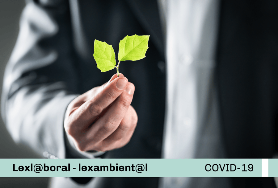 miniatura-covid19-web