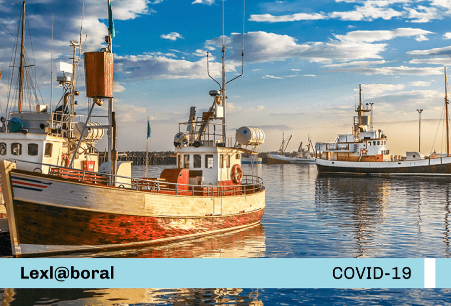 miniatura-covid19-web