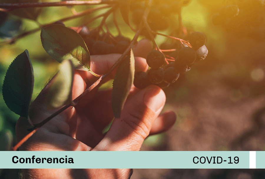 miniatura-covid19-web