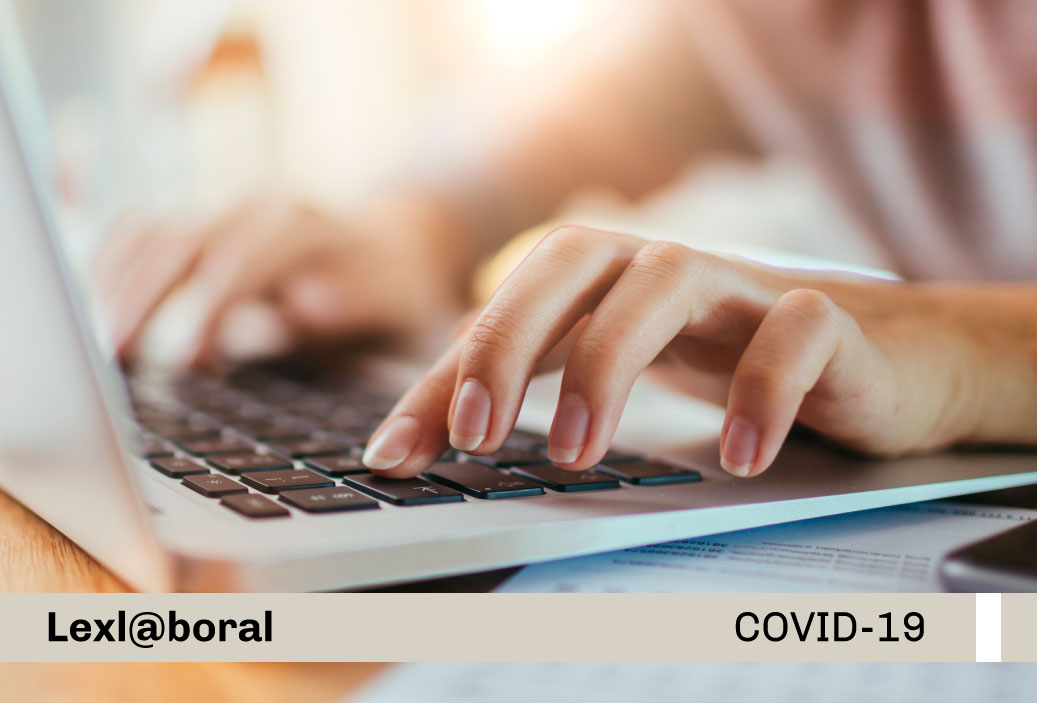 miniatura-covid19-web-23.12-2