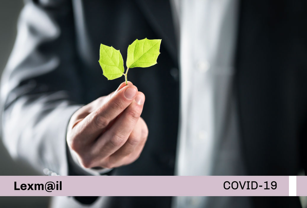 miniatura-covid19-web