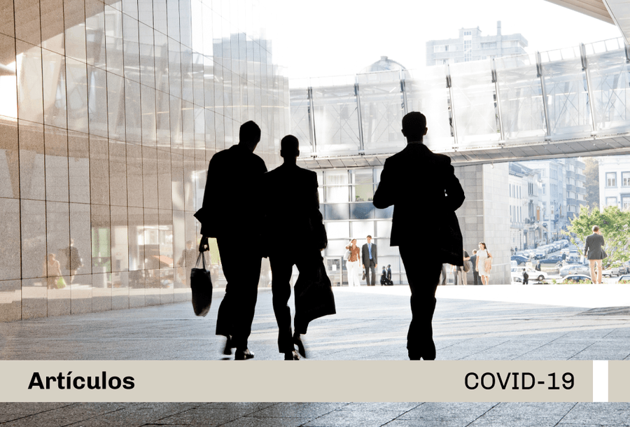 miniatura-covid19-web