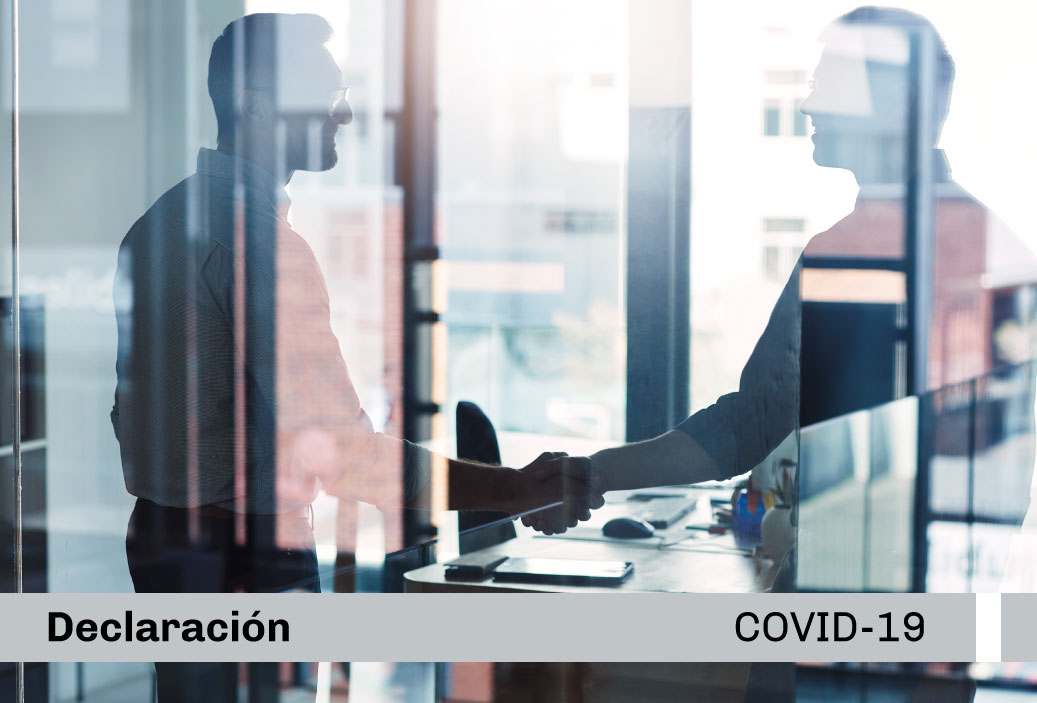 miniatura-covid19-web