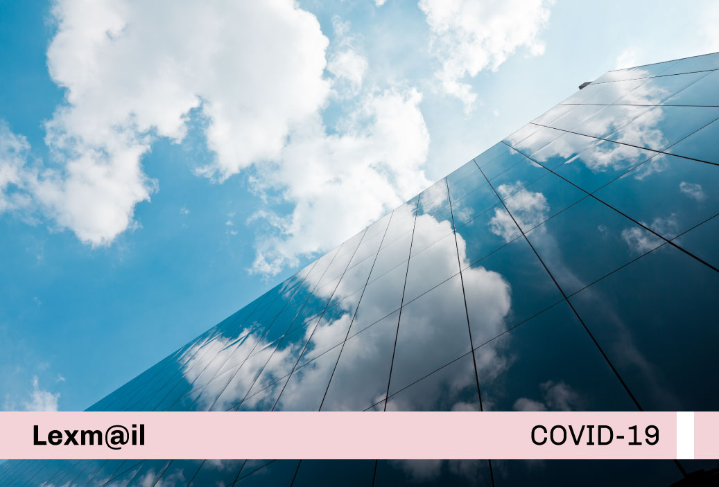 miniatura-covid19-web