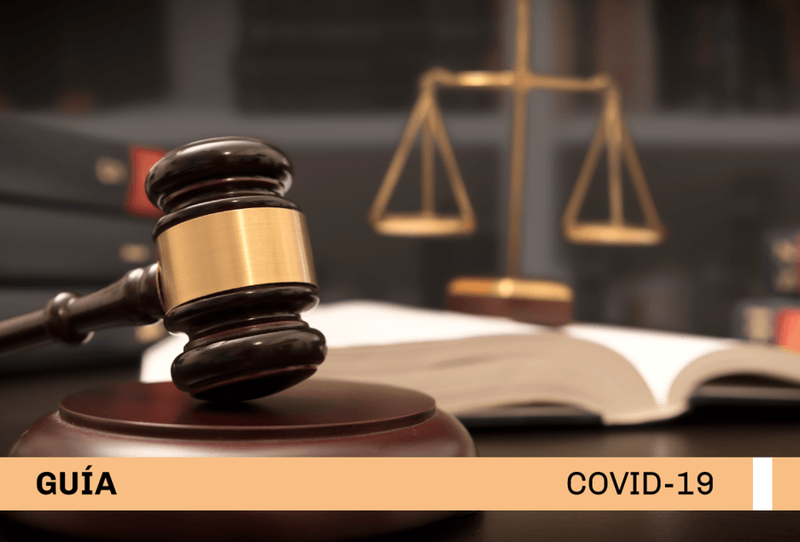 miniatura-covid19-web-GUIA-PENAL-9.7.20