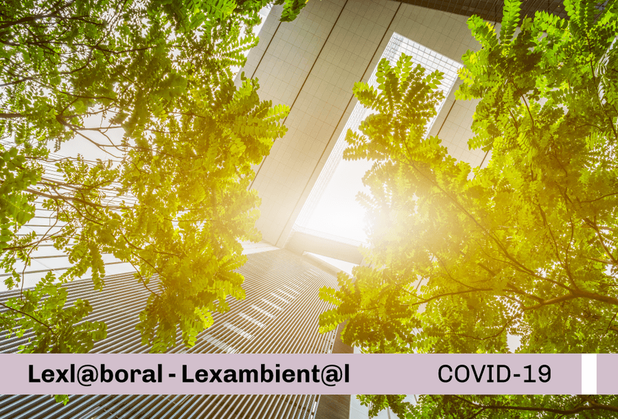miniatura-covid19-web-cobranding-lex-lex-protocolo-ambiental-1