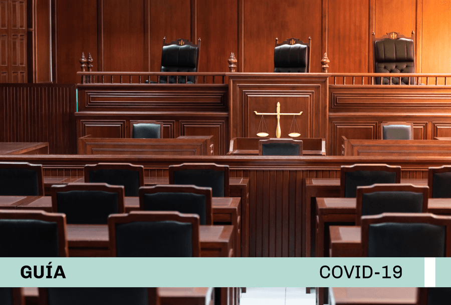miniatura-covid19-web-guia-penal-verde