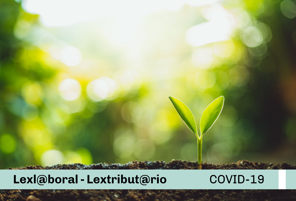 miniatura-covid19-web-lex-lex-14.7.20