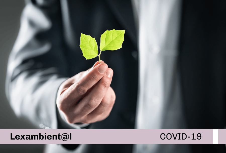 miniatura-covid19-web-lexamb-oefa-violeta