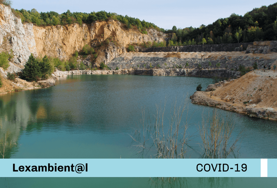 miniatura-covid19-web-lexambiental-ana