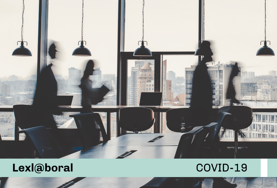 miniatura-covid19-web-lexl-ver