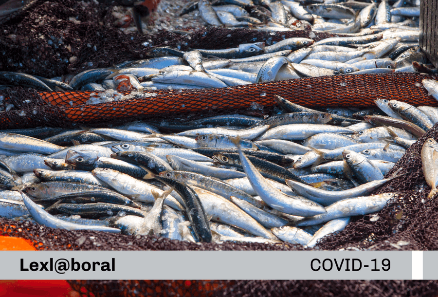 miniatura-covid19-web-lexlaboral-pesca-artesanal-protocolo