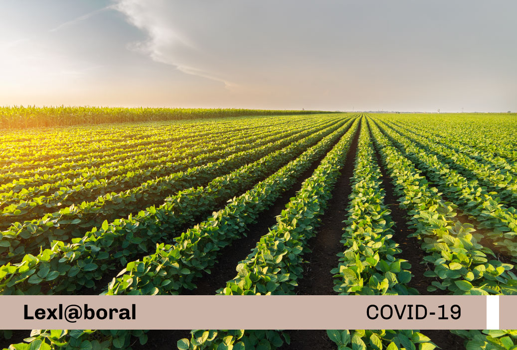 miniatura-covid19-web-lexlaboral-protocolo-agro