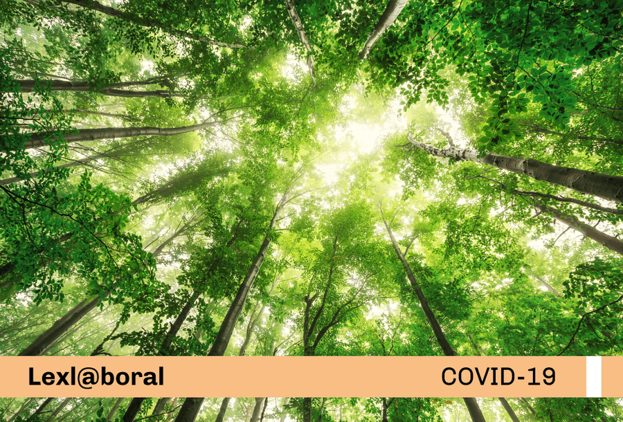 miniatura-covid19-web-nuevo-protocolo-forestal