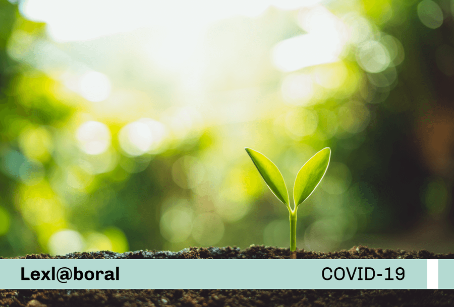 miniatura-covid19-web-protocolo-agrario-nuevo