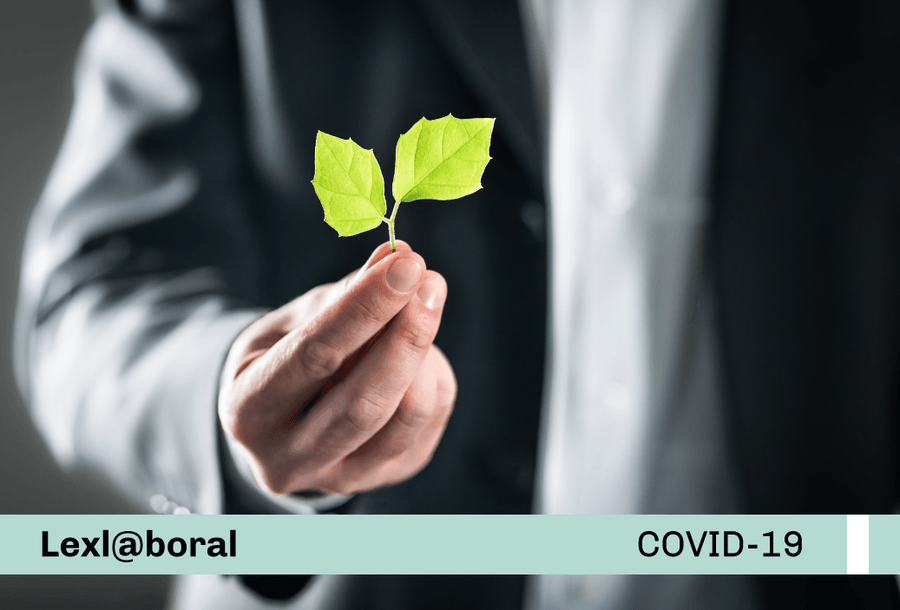 miniatura-covid19-web-protocolo-new-reciclaje