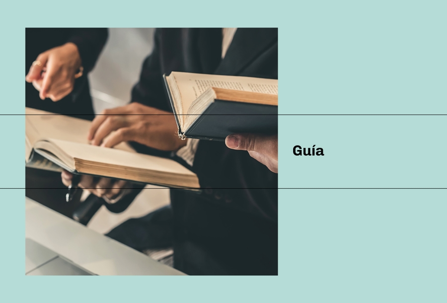 miniatura-guía-2