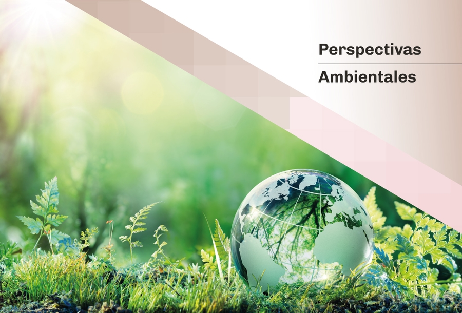 miniatura-perspectiva-ambiental-2
