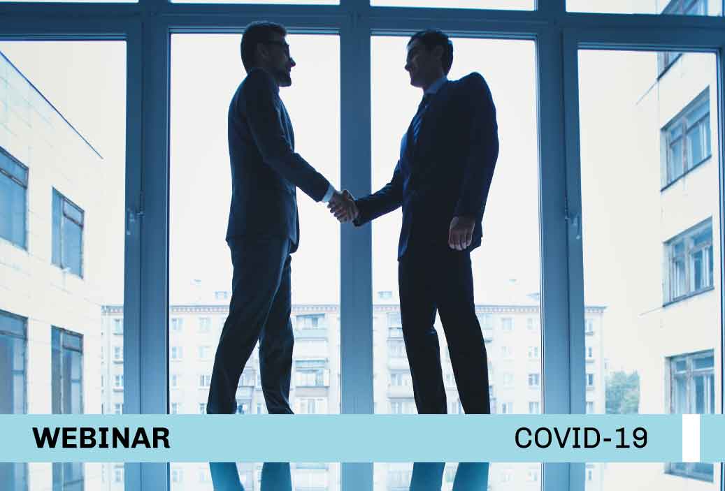 miniatura-video-webinar