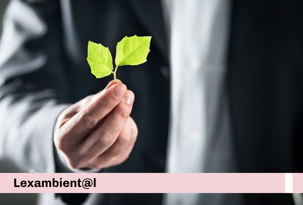 miniatura-web-lexambiental-rosado