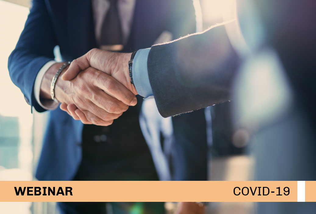 miniatura-webinar