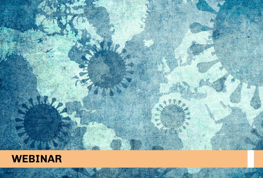 miniatura-webinar-penal