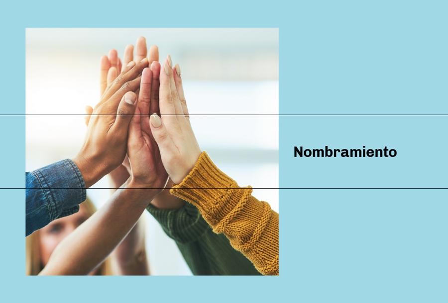 nombramiento-pro-bono-GGS-banner2