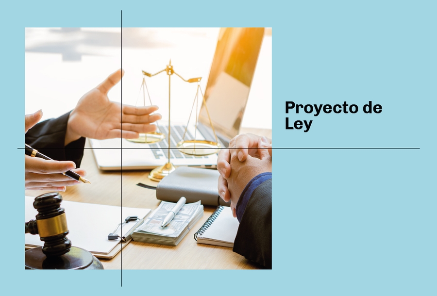 proyecto-de-leyy}