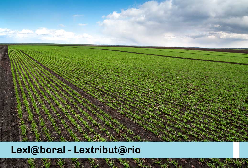 MIN1-Lexlaboral-Reglamento-de-la-Ley-que-regula-el-régimen-laboral-agrario