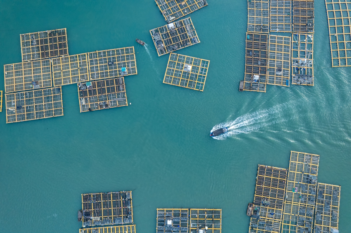 Modifican el Reglamento de Gestión Ambiental de los Subsectores Pesca y Acuicultura